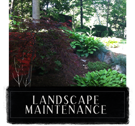 Earthlight Landscape Maintenace